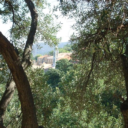 Costa Di Sognu Villa Exterior photo