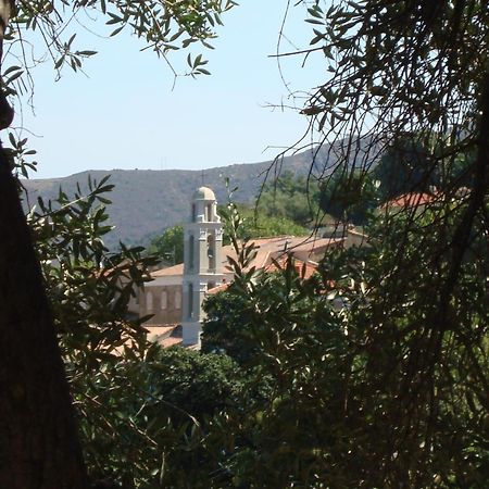 Costa Di Sognu Villa Exterior photo