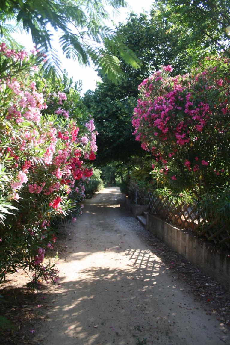 Costa Di Sognu Villa Exterior photo