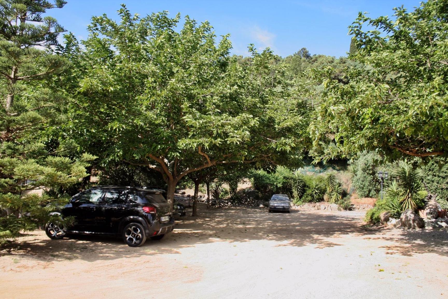 Costa Di Sognu Villa Exterior photo