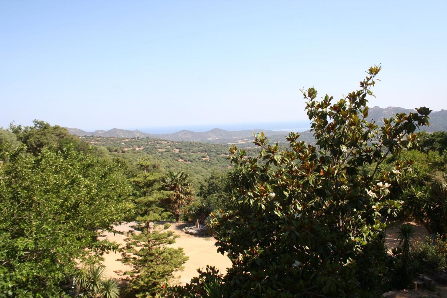 Costa Di Sognu Villa Exterior photo