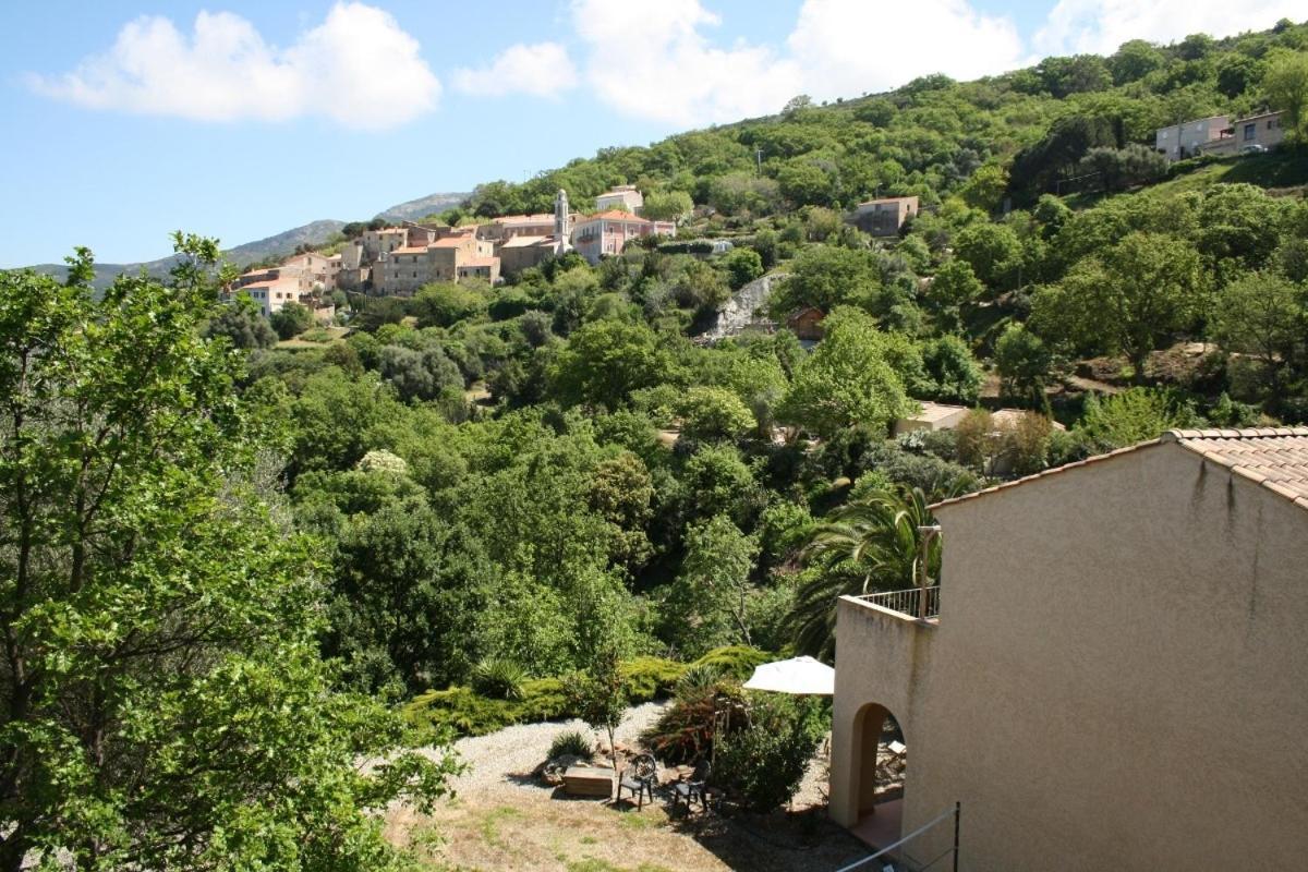 Costa Di Sognu Villa Room photo