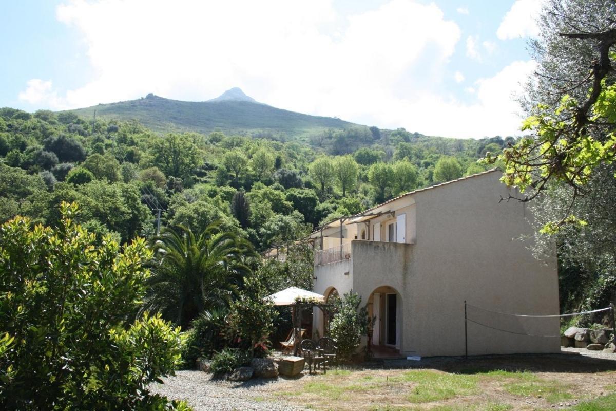 Costa Di Sognu Villa Room photo